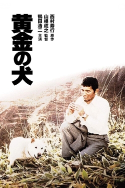 Dog of Fortune yesmovies