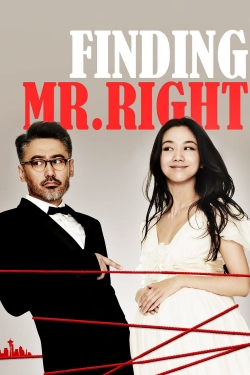 Finding Mr. Right yesmovies