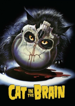 A Cat in the Brain yesmovies