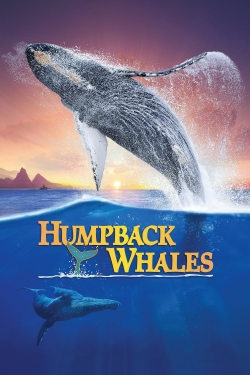 Humpback Whales yesmovies