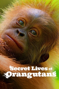 Secret Lives of Orangutans yesmovies