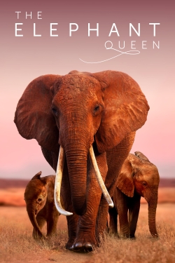 The Elephant Queen yesmovies