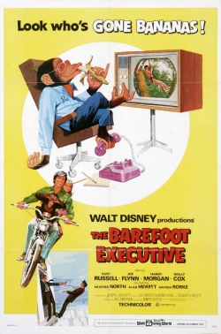 The Barefoot Executive yesmovies