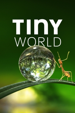 Tiny World yesmovies