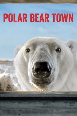 Polar Bear Town yesmovies