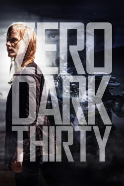 Zero Dark Thirty yesmovies