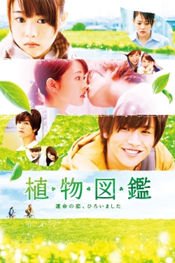 Evergreen Love yesmovies