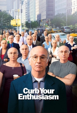 Larry David: Curb Your Enthusiasm yesmovies