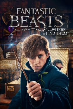 Fantastic Beasts and Where to Find Them yesmovies