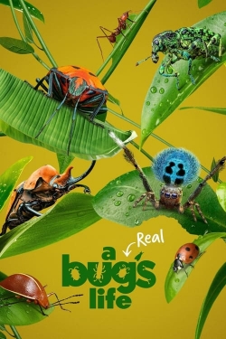 A Real Bug's Life yesmovies