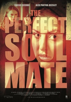 The Perfect Soulmate yesmovies