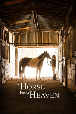A Horse from Heaven yesmovies