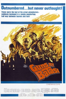 Guns at Batasi yesmovies